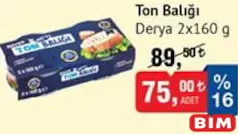 DERYA TON BALIĞI 2X160 G